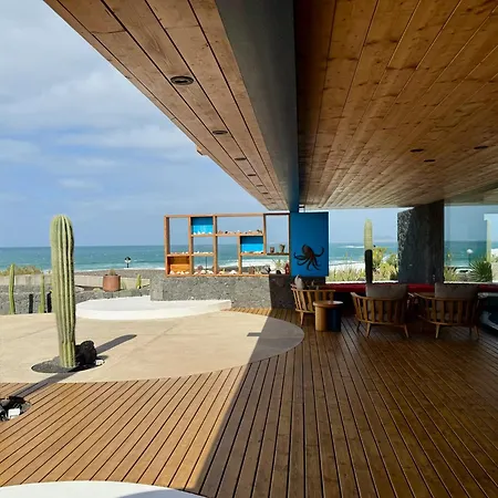 Canaryislandshost I Petra