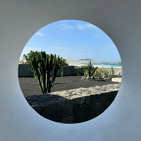 Canaryislandshost I Petra *