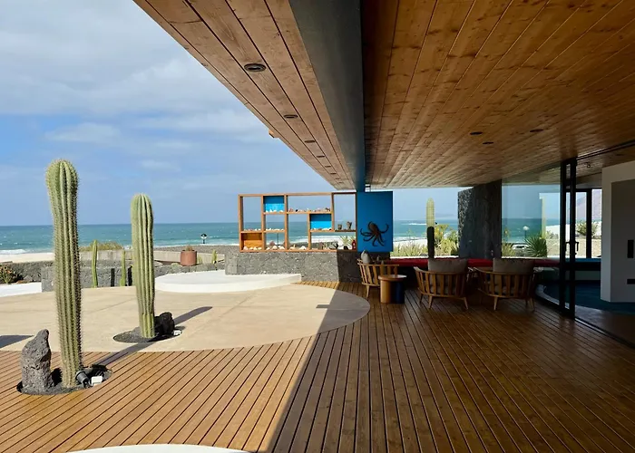 Canaryislandshost I Petra