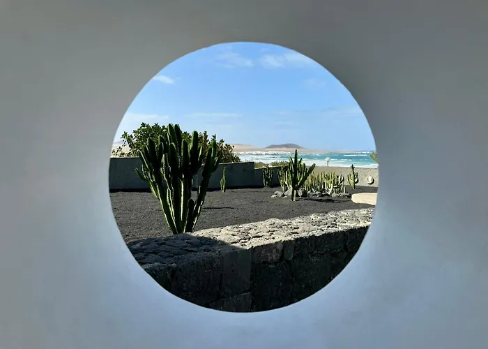 Canaryislandshost I Petra *